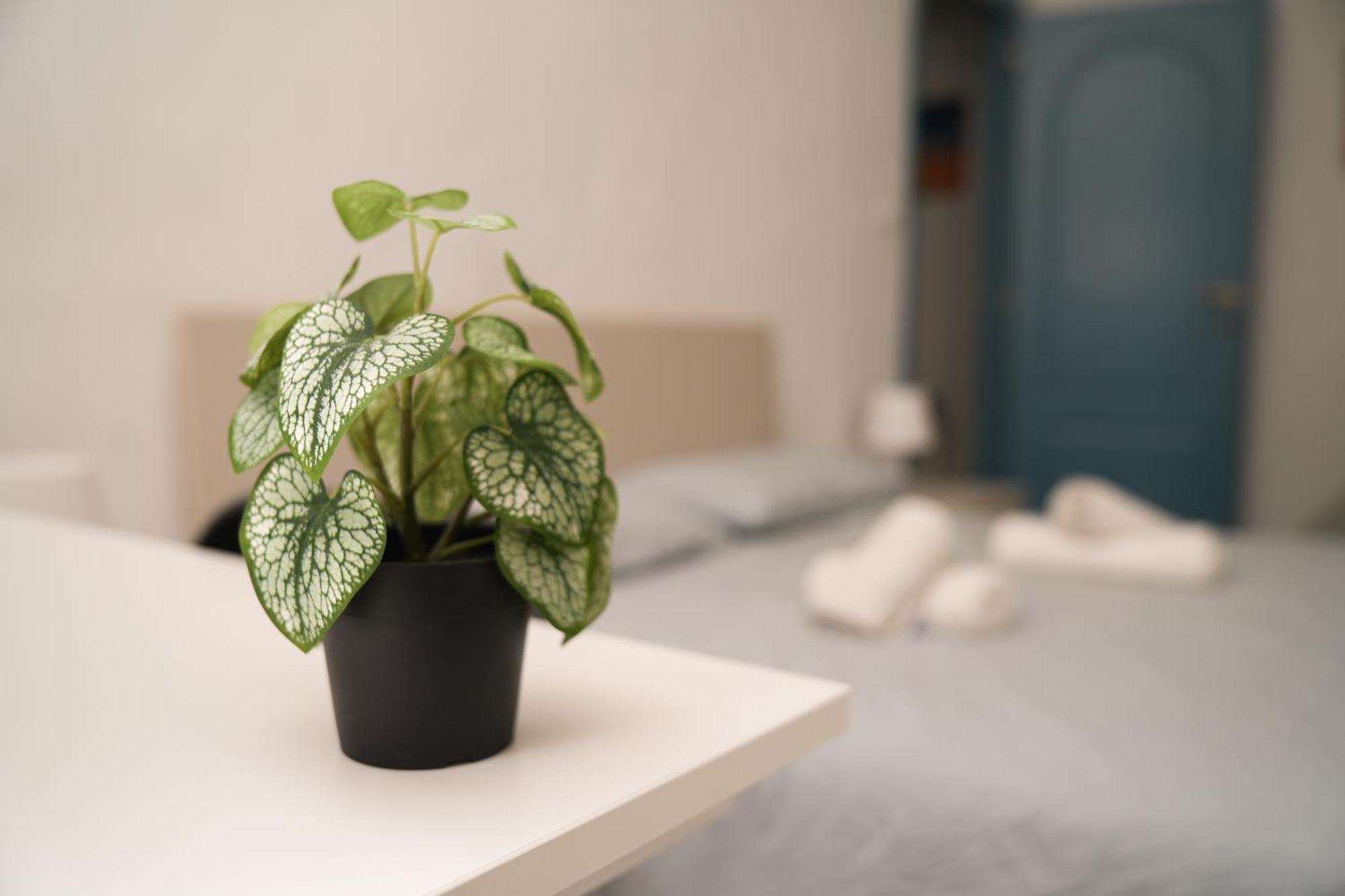 Camyhouse Apartment Turin Bagian luar foto